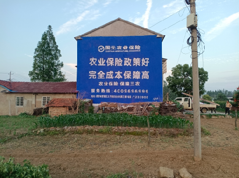 延川墙体广告为何受追捧？